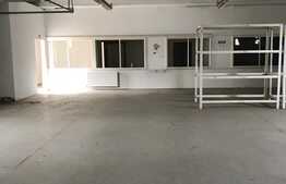 Hala industriala, 500 mp, zona Carcea
