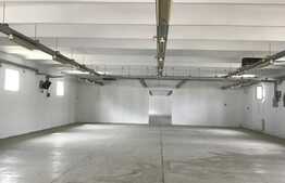 Hala industriala, 500 mp, zona Carcea