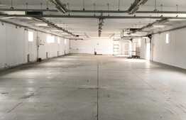 Hala industriala, 500 mp, zona Carcea