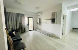 Apartament 2 camere, centrala termica, aer conditionat, zona Calea Severinului