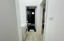 Apartament 2 camere, centrala termica, aer conditionat, zona Calea Severinului