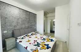 Apartament 2 camere, centrala termica, aer conditionat, zona Calea Severinului