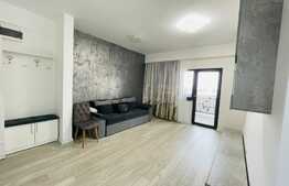 Apartament 2 camere, centrala termica, aer conditionat, zona Calea Severinului