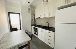 Apartament 2 camere, centrala termica, aer conditionat, zona Calea Severinului