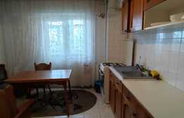 Apartament de 3 camere, 72 mp, etaj intermediar, zona Piata Centrala