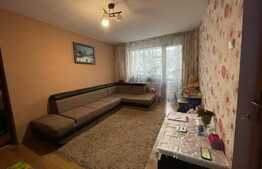 Apartament renovat, 2 camere, zona Brazda