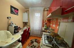 Apartament renovat, 2 camere, zona Brazda