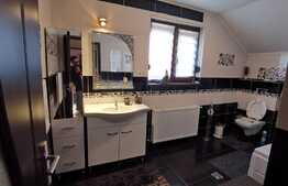 Casa eleganta de 150 mp si 420 mp teren, Albesti!