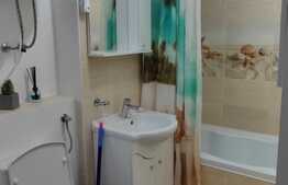 Apartament 2 camere, decomandat, zona Rovine 