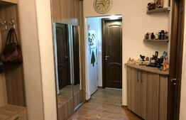Apartament 3 camere, 60 mp, etaj intermediar, Brazda lui Novac