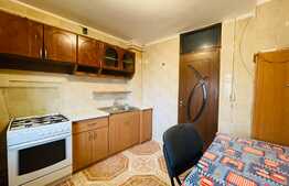 Apartament 2 camere, pet friendly, Ciupercă 