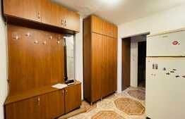 Apartament 2 camere, pet friendly, Ciupercă 