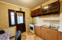 Apartament 2 camere, pet friendly, Ciupercă 