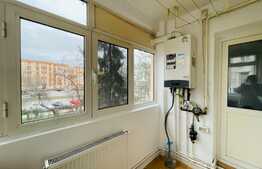 Apartament 2 camere, pet friendly, Ciupercă 