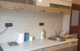 Apartament 2 camere, 43 mp, mobilat, in zona Craiovita