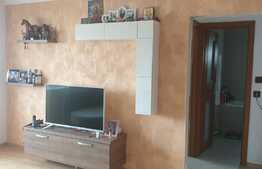 Apartament 2 camere, 43 mp, mobilat, in zona Craiovita