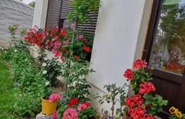 Casă individuală 137 mp utili cu 357 mp teren, zona Căpșunărie