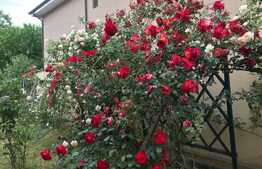 REDUCERE! Vilă deosebită 500 mp utili cu 1.400 mp teren, zona Ford