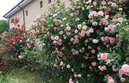 REDUCERE! Vilă deosebită 500 mp utili cu 1.400 mp teren, zona Ford