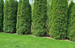 REDUCERE! Vilă deosebită 500 mp utili cu 1.400 mp teren, zona Ford