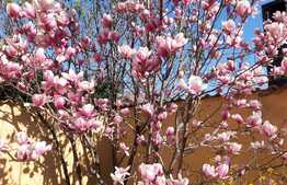 REDUCERE! Vilă deosebită 500 mp utili cu 1.400 mp teren, zona Ford