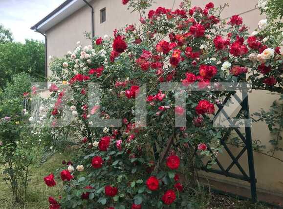 Casa de vânzare 5 camere Exterior Est - 82885CV | BLITZ Craiova | Poza13