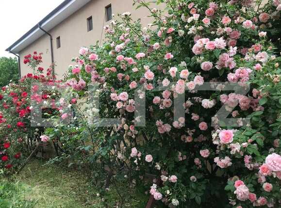 Casa de vânzare 5 camere Exterior Est - 82885CV | BLITZ Craiova | Poza14