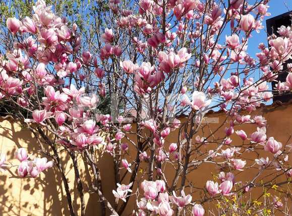 Casa de vânzare 5 camere Exterior Est - 82885CV | BLITZ Craiova | Poza20