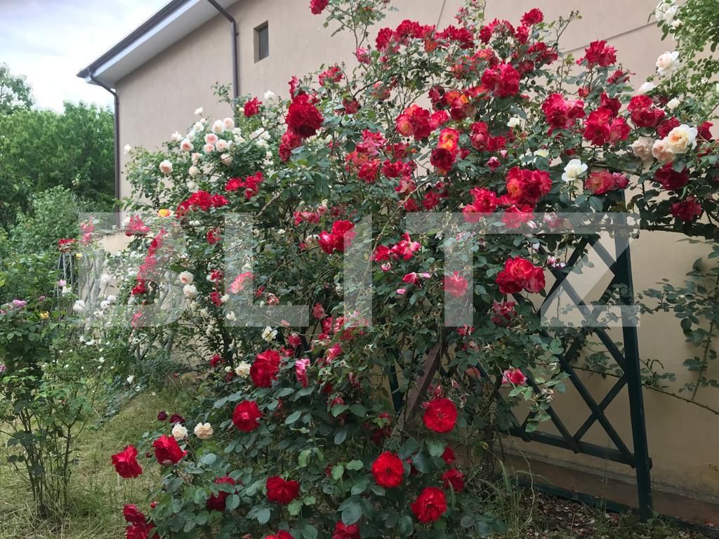 Casa de vânzare 5 camere Exterior Est - 82885CV | BLITZ Craiova | Poza13