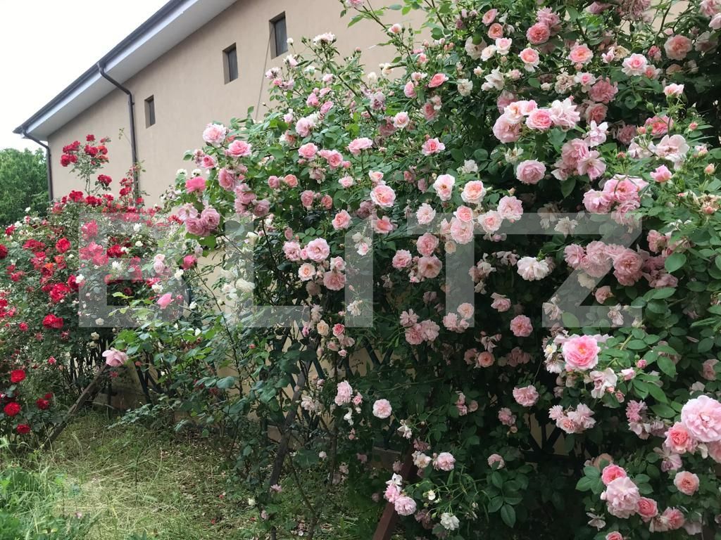 Casa de vânzare 5 camere Exterior Est - 82885CV | BLITZ Craiova | Poza14