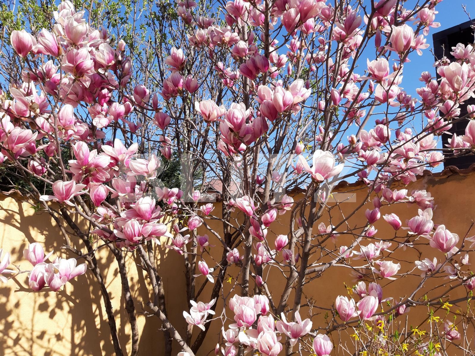 Casa de vânzare 5 camere Exterior Est - 82885CV | BLITZ Craiova | Poza20