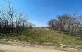 Teren extravilan de 2948 mp in zona Simnicul de Jos