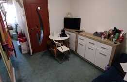 Camera de camin transformata in garsoniera, 22 mp, George Enescu