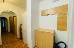 Apartament de 3 camere, decomandat, Rovine