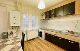 Apartament de 3 camere, decomandat, Rovine