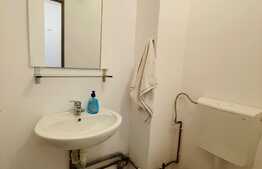 Apartament de 3 camere, decomandat, Rovine