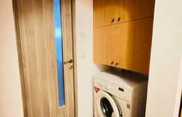 Apartament de 3 camere, decomandat, Rovine