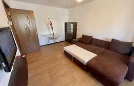 Garsoniera de 30 mp, etaj intermediar, Cornitoiu