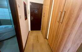 Garsoniera de 30 mp, etaj intermediar, Cornitoiu