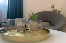 Studio spațios, modern, 27 mp, zona Centrala