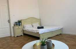 Studio spațios, modern, 27 mp, zona Centrala