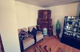 Casa rustica renovata, 144 mp cu garaj si 1100 mp teren intravilan, Calopar