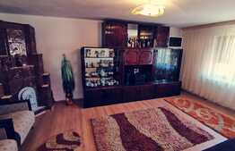 Casa rustica renovata, 144 mp cu garaj si 1100 mp teren intravilan, Calopar