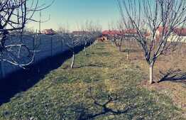 Casa rustica renovata, 144 mp cu garaj si 1100 mp teren intravilan, Calopar