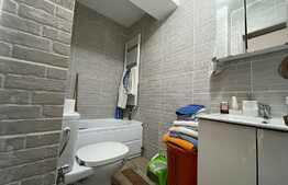 Apartament de 2 camere, decomandat, 46 mp, Brazdă, langă Regia de Tutun