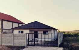 Oferta! Casa la cheie pe plan parter, 100 mp utili si teren 350 mp, Isalnita!