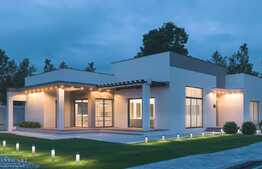 Casa pe un singur nivel, 600 mp teren, zona Bariera Valcii