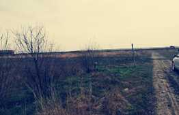 Teren intravilan 2424 mp, in Carcea langa centura sud!