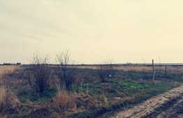 Teren intravilan 2424 mp, in Carcea langa centura sud!