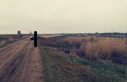 Teren intravilan 2424 mp, in Carcea langa centura sud!